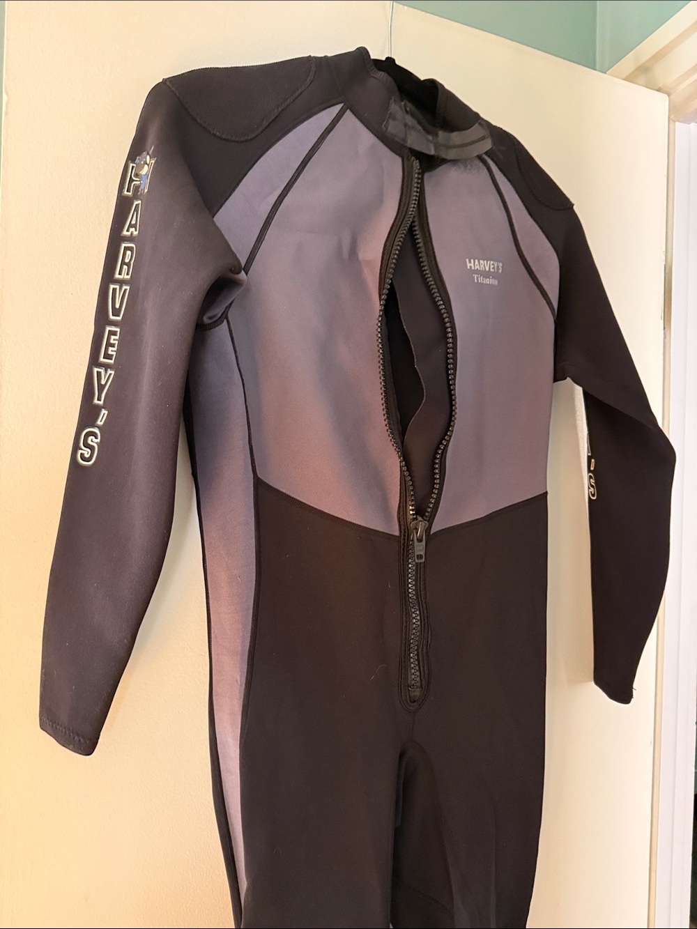 Harveys Men’s Titanium One-Piece Long Sleeve 1mm Wetsuit in Black and Gray